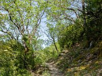 Gorges de la Méouge - Tour Pierre Grosse  Autre vue sur le sentier ...