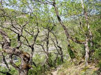 Gorges de la Méouge - Tour Pierre Grosse  Autre vue sur le sentier ...