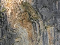 Méouge - 26/04/2026  Que voyez vous ? Regardez bien ! ...