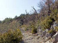 Piloubeau  Autre vue sur le sentier