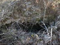 Piloubeau  Vestiges d'une cave voutée