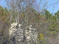 Piloubeau  Autre pan de mur. Difficile de pénètrer dans les ruines tant la végétaion est dense