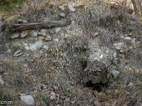 Piloubeau  Reste de poutre et sous celle-ci, une pièce voutée