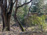 Piloubeau  Abords du hameau à l'Ouest