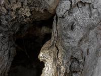 Piloubeau  Profil ...