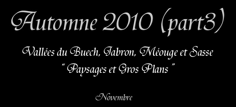 a-titre.jpg - Autome 2010 (part 3)
