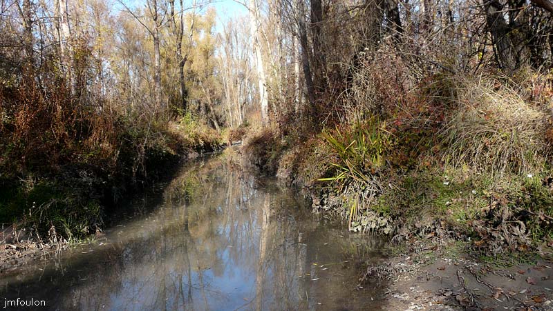 val-buech-01web.jpg - Buech - Rive droite entre la Marquise et Ribiers - Bras d'eau