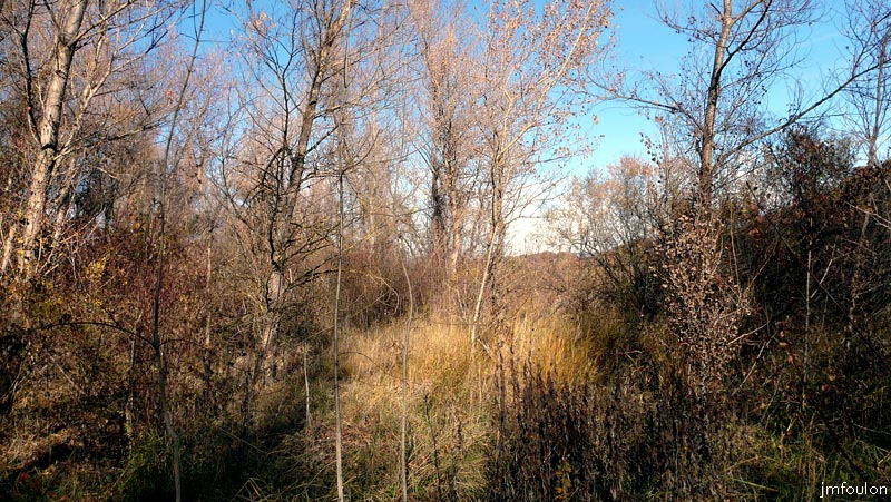 val-buech-02web.jpg - Buech - Végétation de bord de rive