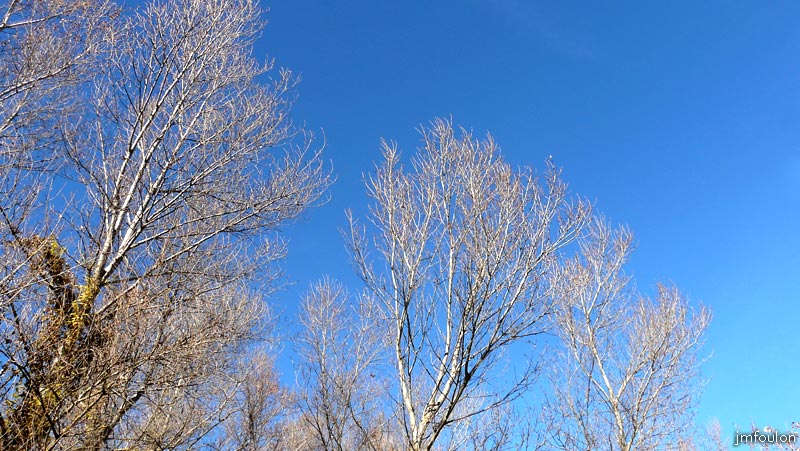 val-buech-03web.jpg - Buech - Cimes de saule Marsault
