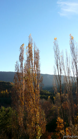 val-jabron-16web.jpg - Jabron - Contre jour (vers Monfroc)