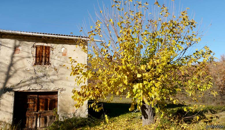 val-jabron-18web.jpg - Jabron - Murier devant une maison au Couvent