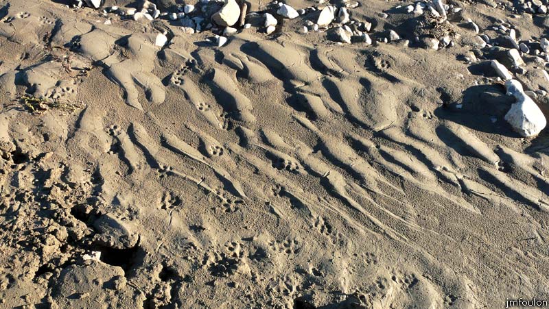 val-jabron-23web.jpg - Jabron - Traces dans le sable