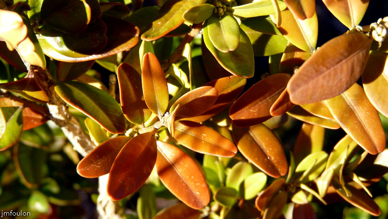 val-meouge-03web.jpg - Méouge - Buis