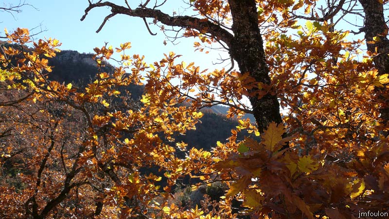 val-meouge-04web.jpg - Méouge - Contre-jour au travers du feuillage flamboyant d'un chêne blanc