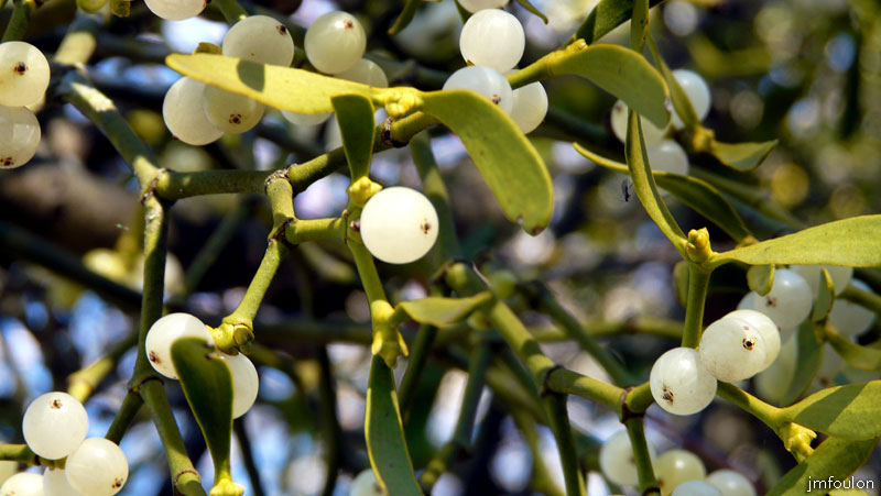 val-meouge-13web.jpg - Méouge -Gui