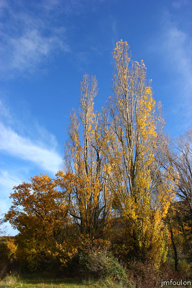 rive-jabron-02web.jpg - Rive gauche du Jabron à Castel-Bevons