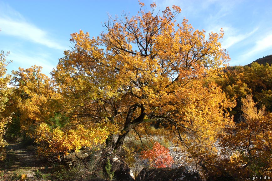 rive-jabron-05web.jpg - Rive gauche du Jabron à Castel-Bevons