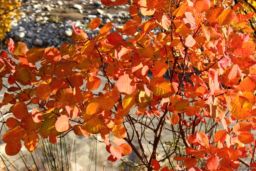 rive-jabron-06web.jpg - Rive gauche du Jabron à Castel-Bevons