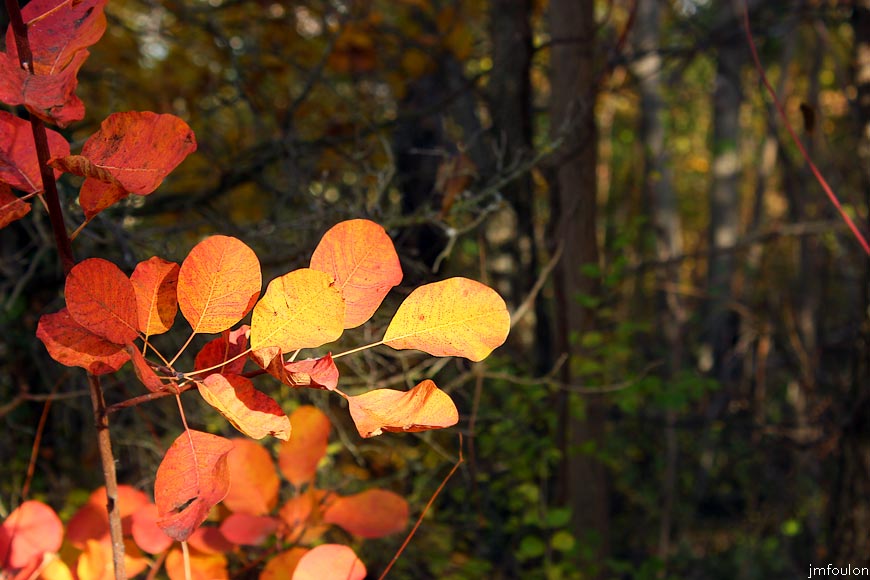 rive-jabron-11web.jpg - Rive gauche du Jabron à Castel-Bevons