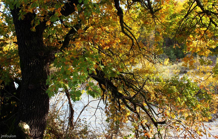 rive-jabron-12web.jpg - Rive gauche du Jabron à Castel-Bevons