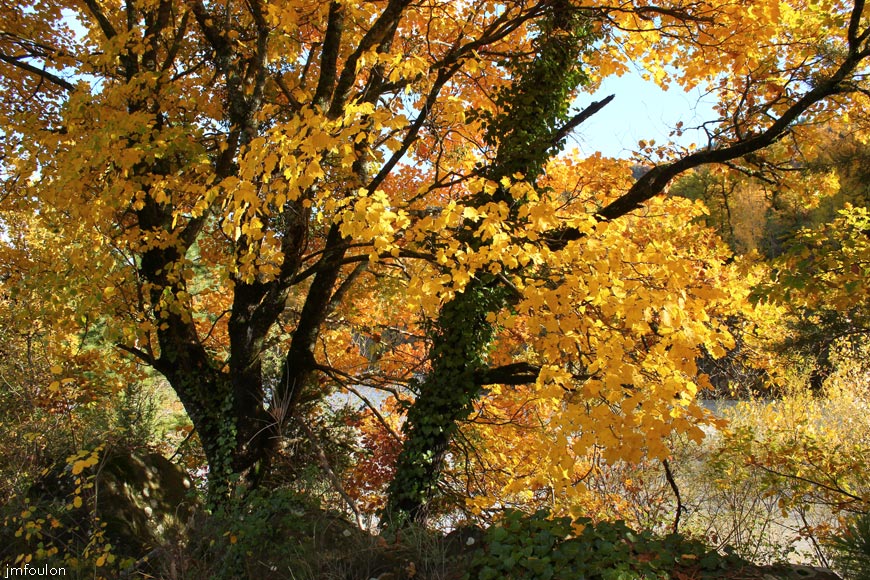 rive-jabron-13web.jpg - Rive gauche du Jabron à Castel-Bevons