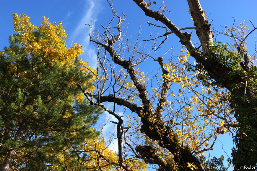 rive-jabron-14web.jpg - Rive gauche du Jabron à Castel-Bevons