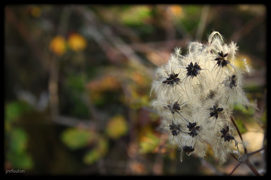 rive-jabron-19web.jpg - Rive gauche du Jabron à Castel-Bevons