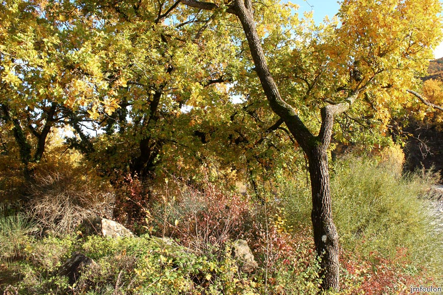 rive-jabron-20web.jpg - Rive gauche du Jabron à Castel-Bevons