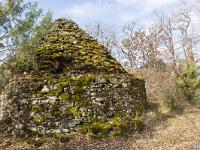 Borie à L'Est des Mourres  Face Nord couverte de mousse de la borie