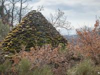 Borie à L'Est des Mourres  Toiture de la borie couverte de mousse