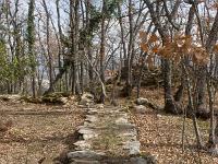 Borie à L'Est des Mourres  Vestige d'enclos