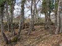 Borie à L'Est des Mourres  Vestige d'enclos