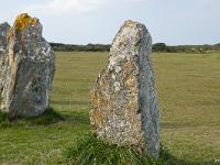 camaret-041  Camaret-sur-Mer - Alignements Mégalithiques de Lagatjar