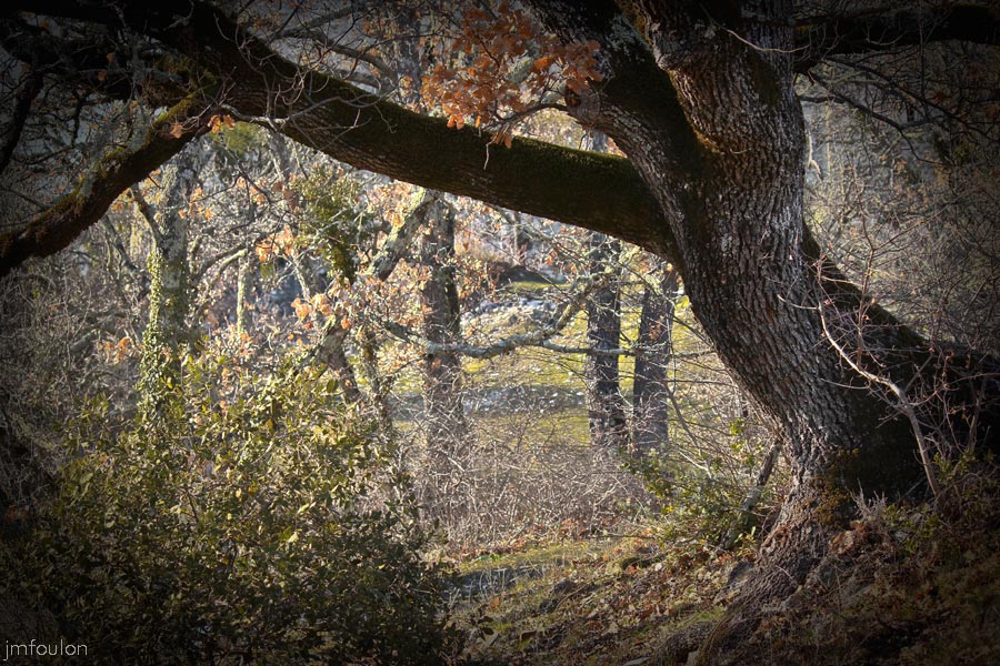 st-donat-53web.jpg - Saint Donat le Bas - Autour de  l'église. Ou sont les Elfes et les Farfadets ? ...