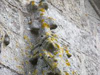 Confort-Meilars  Sculptures sur la grande façade de l'église Notre Dame de Confort