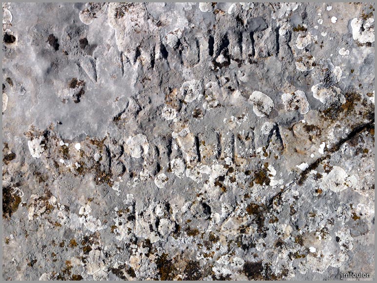 gache-inscription-3web.jpg - Une autre de 189 ... ?