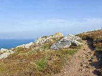 De la pointe de Dinan au Cap  de la Chèvre  Le sentier (GR 34 qui fait le tour dela Bretagne par la côte)