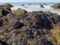 De la pointe de Dinan au Cap  de la Chèvre  Plage de Kerdeux - Basse mer