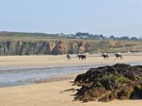 De la pointe de Dinan au Cap  de la Chèvre  Plage de Kerdeux - Basse mer - Cavaliers