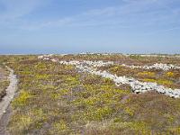 Pointe de la Chèvre  Le sentier et les murets de pierre sèche