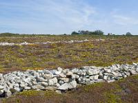 Pointe de la Chèvre  Murets de pierre sèche