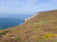 De la pointe de Dinan au Cap  de la Chèvre  Le trait de côte et la mer d'Iroise