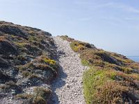 De la pointe de Dinan au Cap  de la Chèvre  Le sentier et la lande