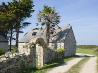 De la pointe de Dinan au Cap  de la Chèvre  Maison et son palmier aux abords du hameau de Kergonan