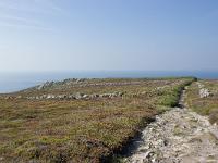 De la pointe de Dinan au Cap  de la Chèvre  Une ambiance très irlandaise ici