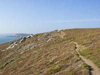 De la pointe de Dinan au Cap  de la Chèvre  Le sentier
