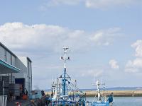 Douarnenez  Le port de pêche