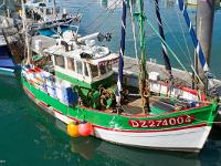 Douarnenez  P'tit Mousse à quai dans le port de Rosmeur