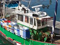 Douarnenez  P'tit Mousse à quai dans le port de Rosmeur