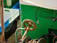 Douarnenez  P'tit Mousse (détails)